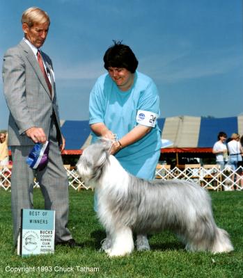 Tess at Bucks County